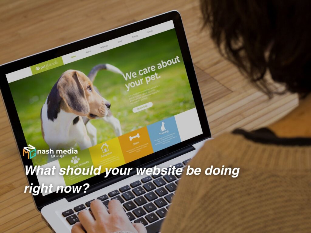 A business woman opening her pet wellness website on her laptop.